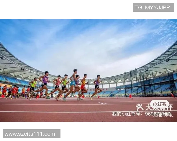 上海足球队在挑战赛中的团队协作表现分析与点评